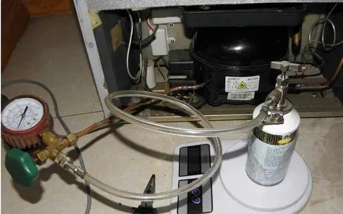 ϺάޱշѶǮ_ά޵绰