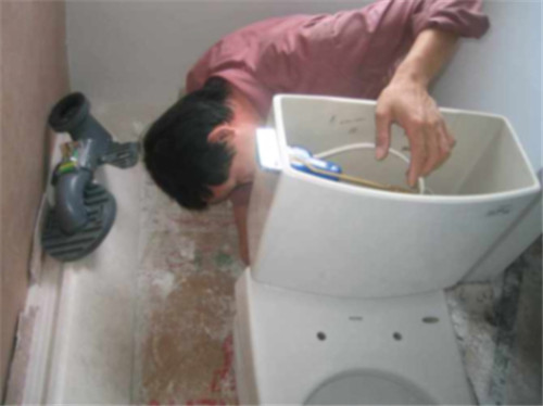 ظͰ绰_浽