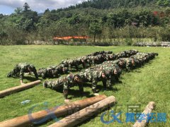 厦门公司团队建设活动去哪好？